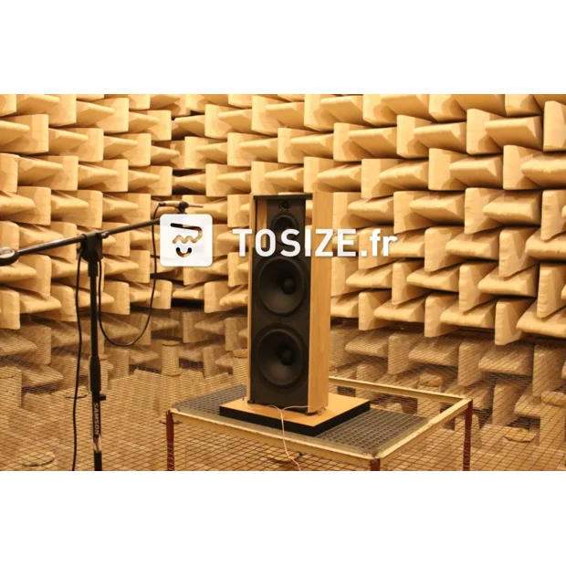 Hautparleur à baffle ouvert Prototype Daudio TOSIZE.fr