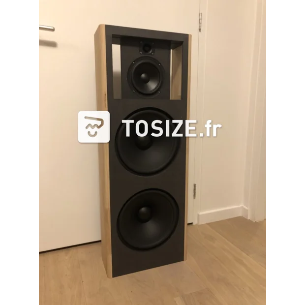 Hautparleur à baffle ouvert Prototype Daudio TOSIZE.fr