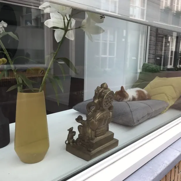 Bank-Fenster