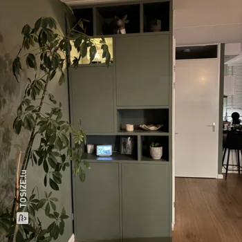 Stilvolles grünes Regal für das Wohnzimmer von Mark