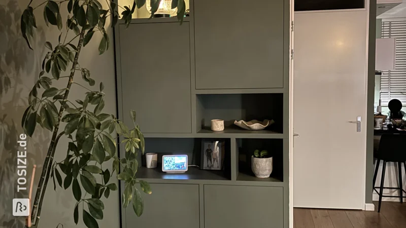 Stylish green shelving unit for the living room, by Mark