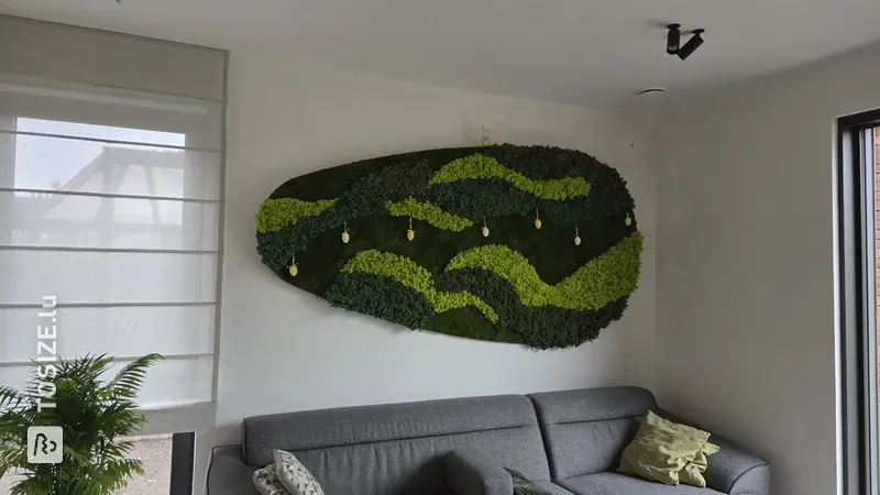 Mur de mousse unique pour l'absorption acoustique et la conception des murs, par Tim