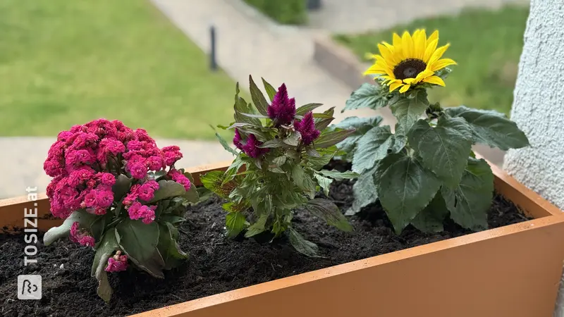 Blumenkasten für den Balkon, von Mark