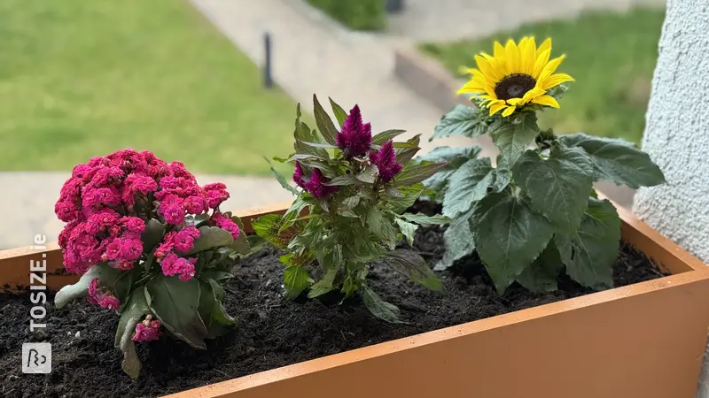 Flower box for the balcony, by Mark