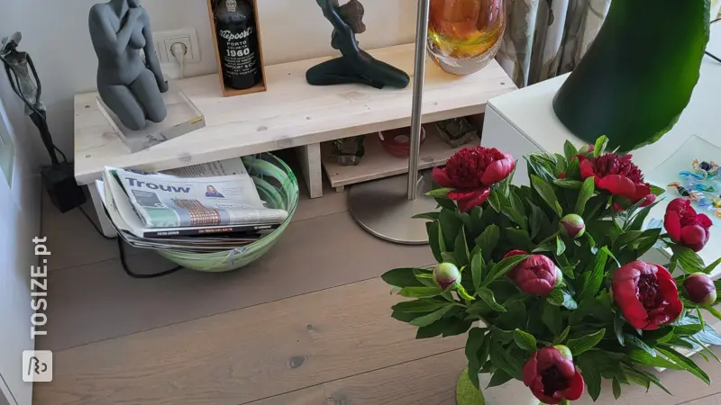 Presentation Rack for Collectibles, by Dick