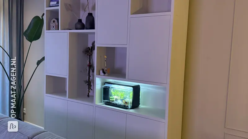 Stijlvolle Vakkenkast voor de Woonkamer, door Steffan