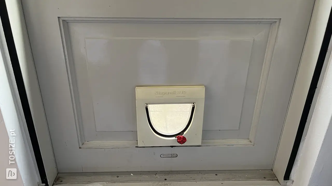 8I5obJDb.jpeg