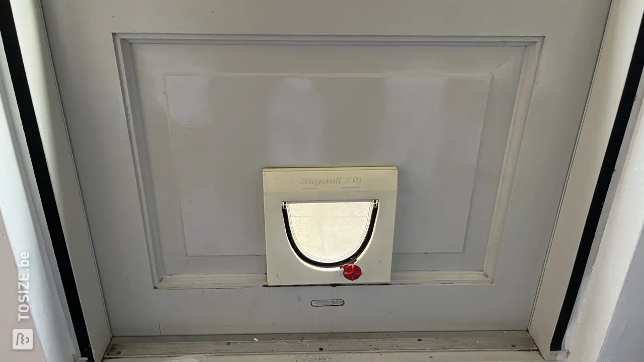 8I5obJDb.jpeg