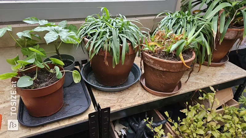 Maßgefertigtes Aufbewahrungsregal für den Gartenschuppen, von Filip