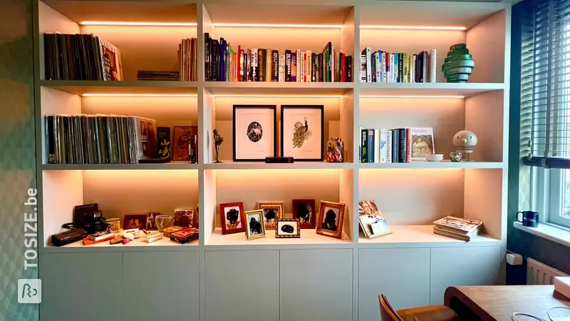 Stylish Compartment Cabinet with Lighting, by Nick