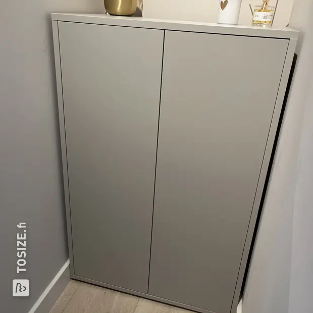 Gray shoe cabinet with doors