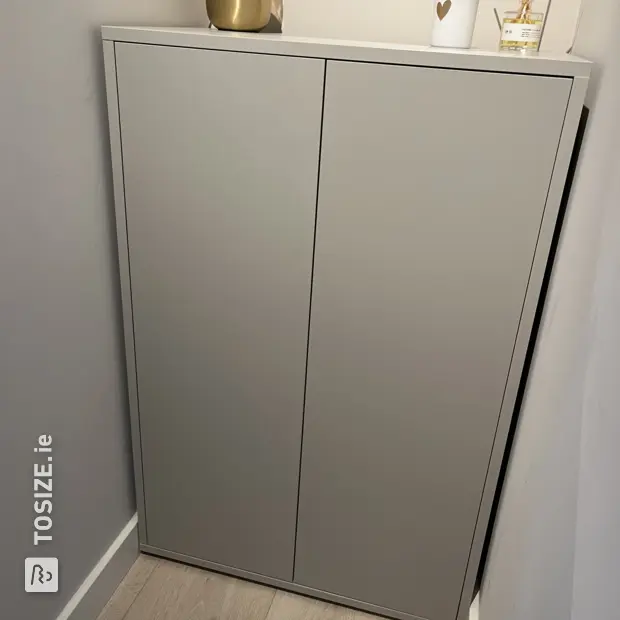 Gray shoe cabinet with doors