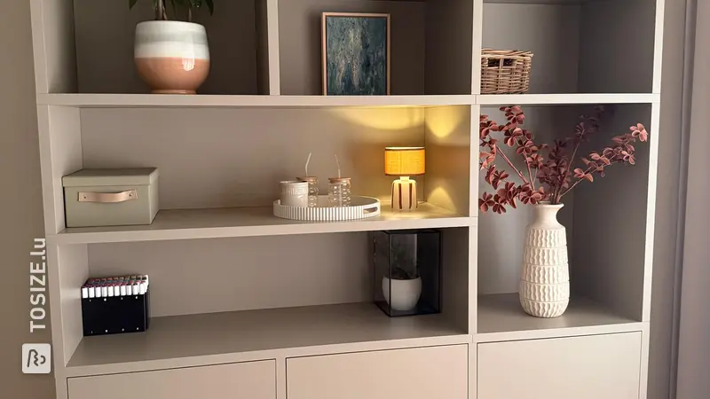 Magnifique meuble à compartiments pour le salon, par Paula