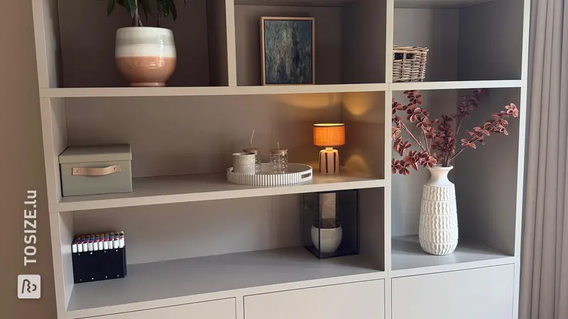 Magnifique meuble à compartiments pour le salon, par Paula