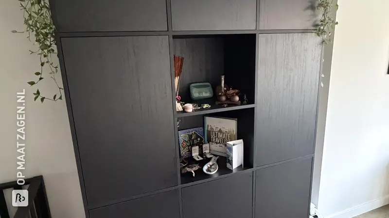 Stylish Living Room Cabinet for Toy Storage, by Nadine