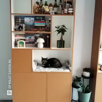 Stijlvolle Boekenkasten voor de Woonkamer, door Josephine