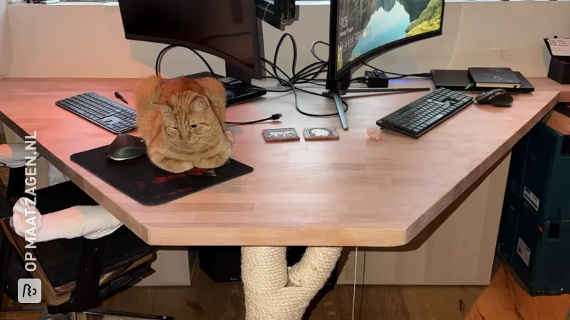 Dubbel beuken bureau met krabpaal, door Jeroen