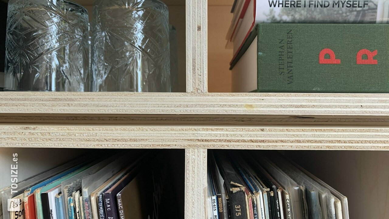 Música - Estuche de vinilo de Poplar Plywood, de Julius