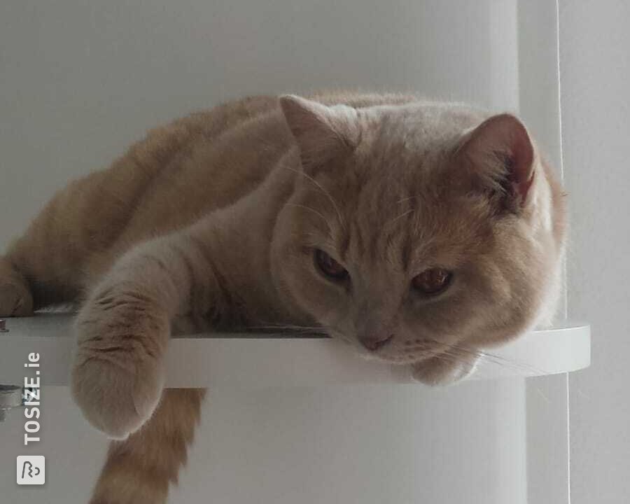 DIY cat tree with MDF plateaus!