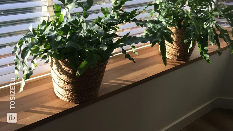 Custom oak window sills, by Joost