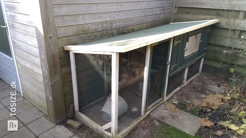 Repair roof and floor chicken coop