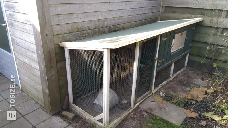 Repair roof and floor chicken coop