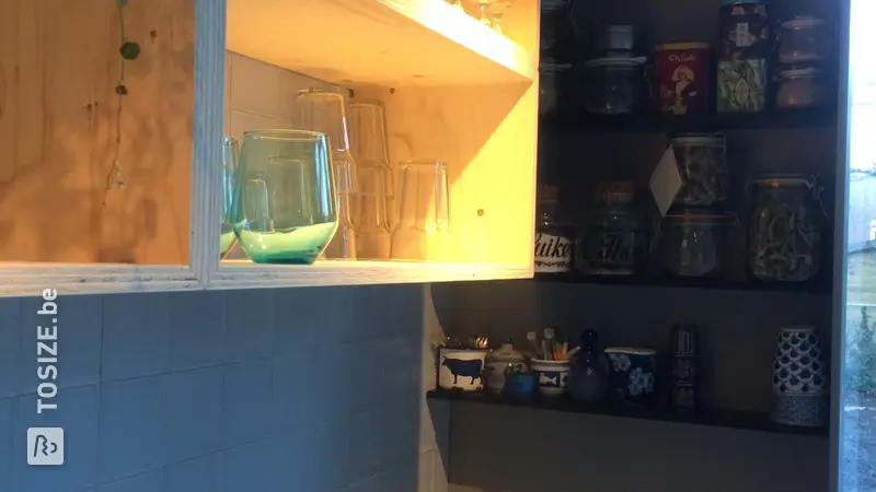 Kitchen conversion and cabinet, by Maaike