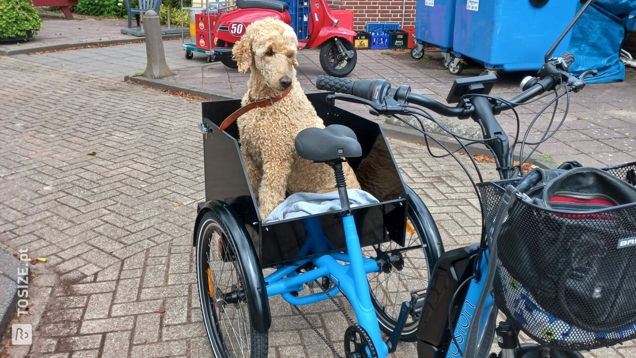 Cut-to-size container for dog made of concrete plywood for tricycle, by Ellis