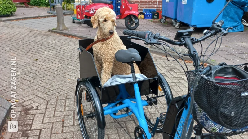 Op maat gemaakte bak voor hond van betonplex voor driewielfiets, door Ellis