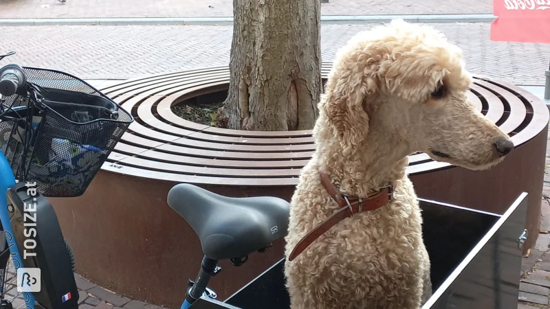 Maßgeschneiderte Hundebox aus Betonsperrholz für Dreiräder von Ellis