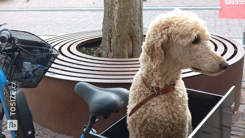 Custom-made box for dog made of concrete plywood for tricycle, by Ellis