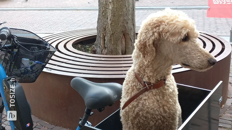 Custom-made box for dog made of concrete plywood for tricycle, by Ellis