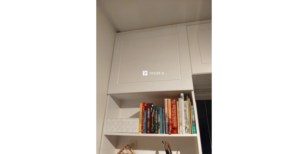 Portes d'armoire sur mesure pour une armoire existante dans le salon