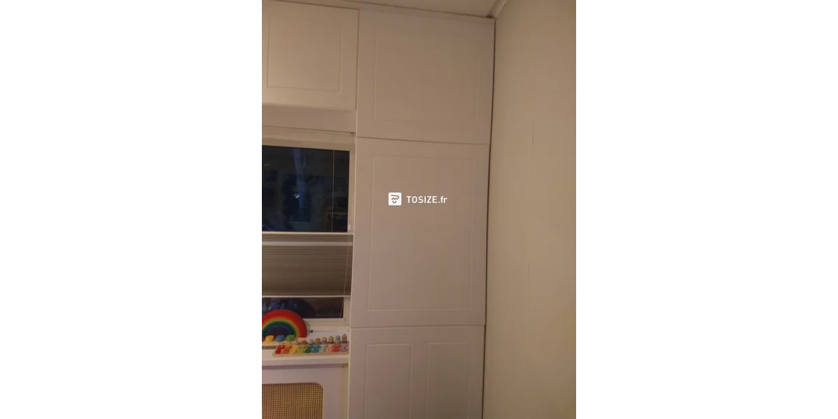 Portes d'armoire sur mesure pour une armoire existante dans le salon