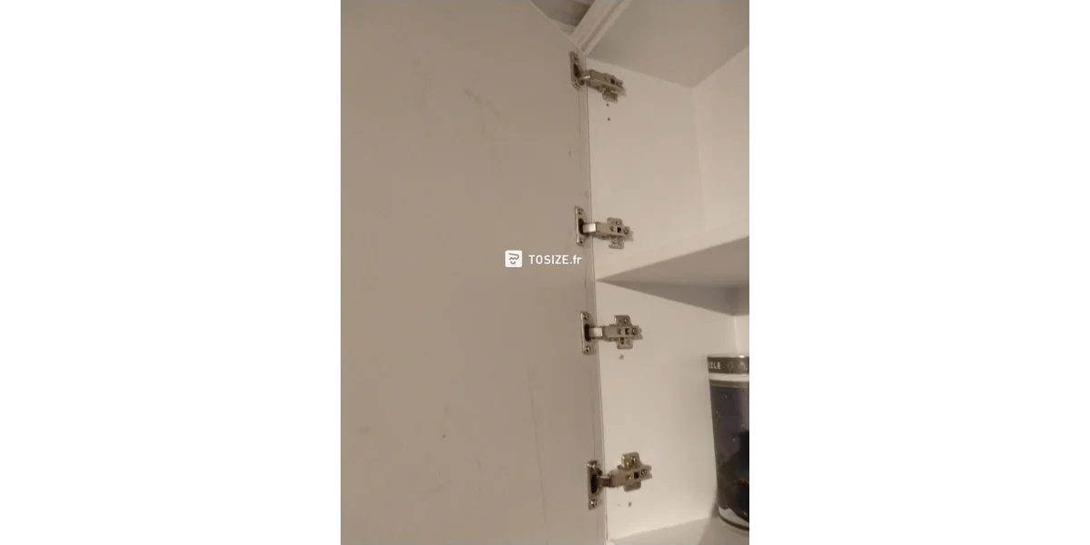 Portes d'armoire sur mesure pour une armoire existante dans le salon