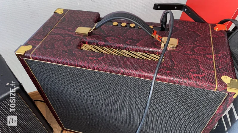 Custom guitar amplifier conversion made of birch plywood, by Davide