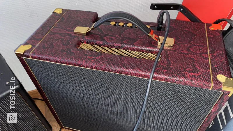 Custom guitar amplifier conversion made of birch plywood, by Davide