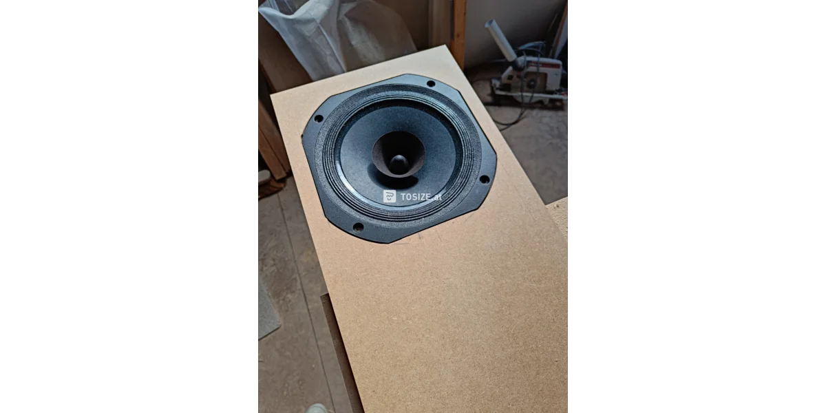 Eine maßgefertigte Full-Range-Soundbox aus MDF | TOSIZE.at