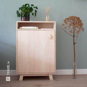 Make your own cabinet from plywood interior poplar