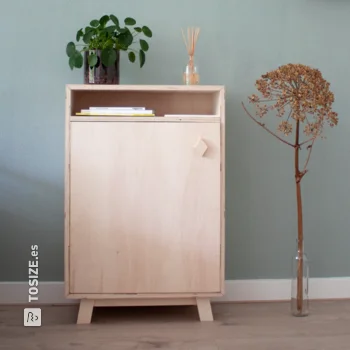 Haga su propio armario de madera contrachapada interior de álamo