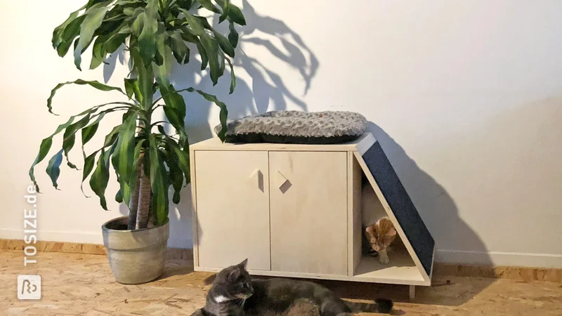 Machen Sie Ihre eigene Box für die Katzentoilette, von der Heimwerkerexpertin Ivonne