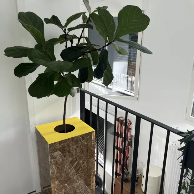 Jardinière