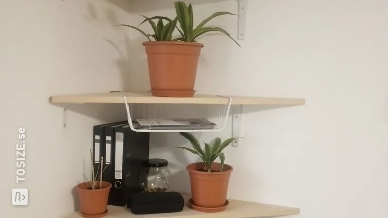 Custom-made corner shelves made of sawn birch plywood by Alexander