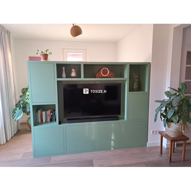 Green cupboard wall with open compartments and doors