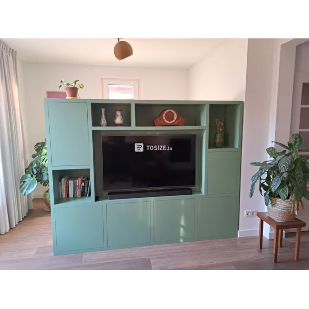 Green cupboard wall with open compartments and doors