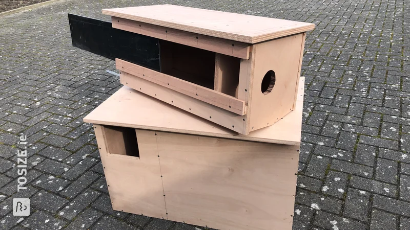 Homemade owl boxes with Multiplex Okoumé Waterproof, by P.