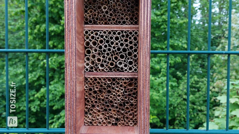 Hôtels à abeilles DIY en multiplex et tiges de roseaux, par Bettina