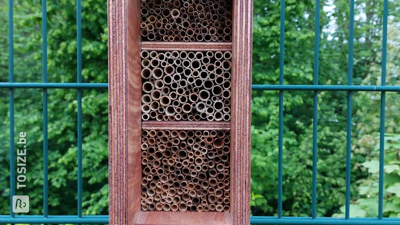 DIY bijenhotels gemaakt van multiplex en rietstengels, door Bettina