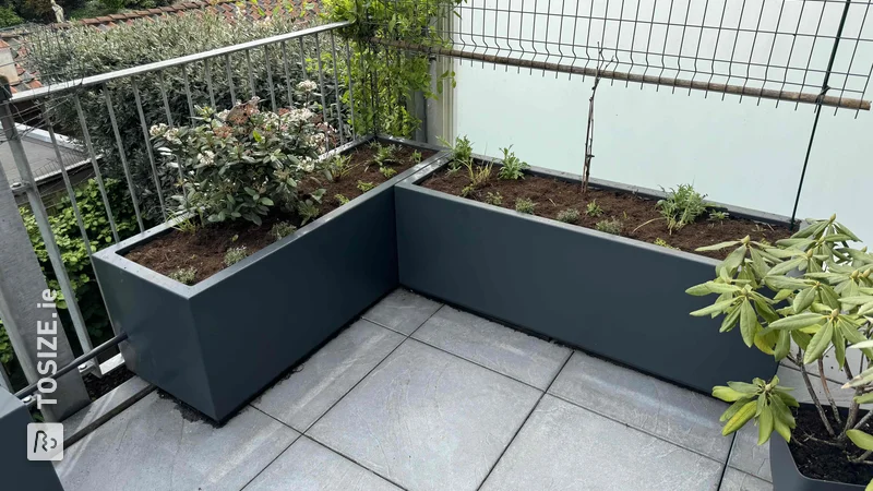 Create sustainable elegance with concrete plywood flower boxes on an even concrete slab, by Martin