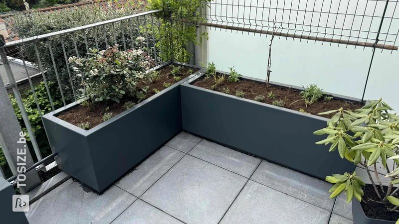 Creëer duurzame elegantie met betonplex bloembakken op een egale betonplaat, door Martin